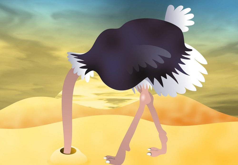 Are You in Blissful KPI Ignorance?