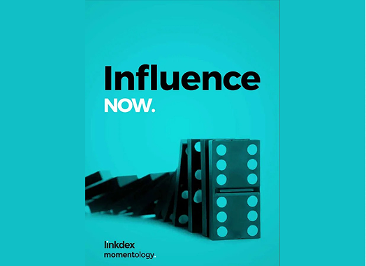 Contributor: Influence Now (eBook)